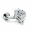 Mitigeur Bain-Douche Mural avec Pommeau, Flexible & Support
